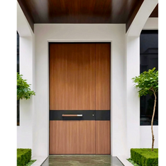 Luxury Exterior Doors -- Casen Series 33