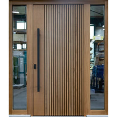 Wooden Look Metal Doors -- Casen Series 06